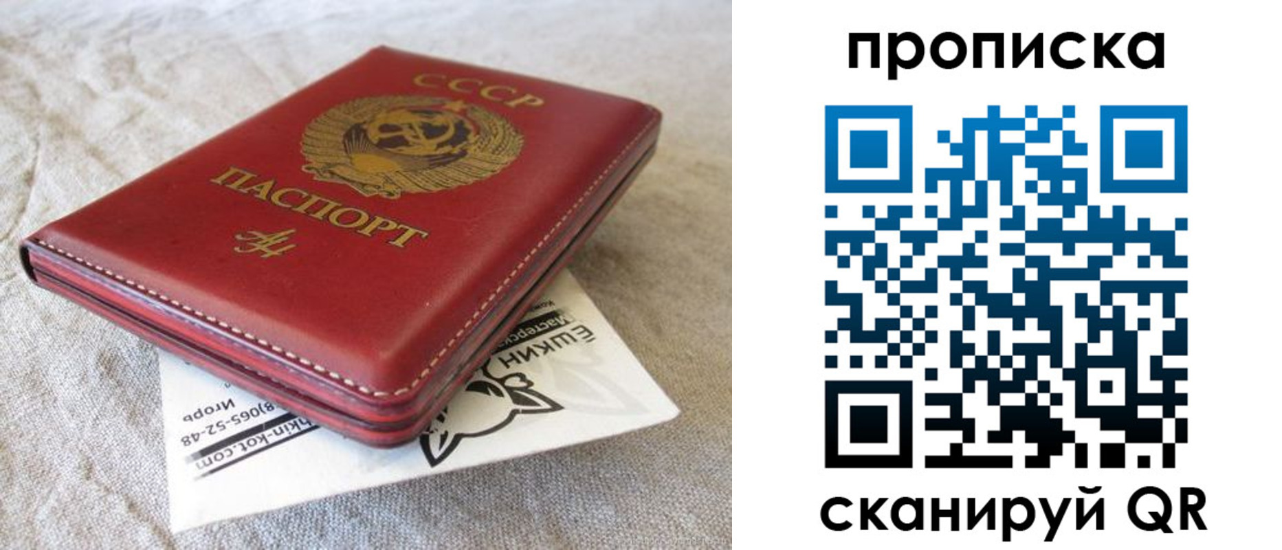 прописка для школы в Сергиевом Посаде